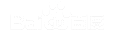 �ݶ�AI�Ż�